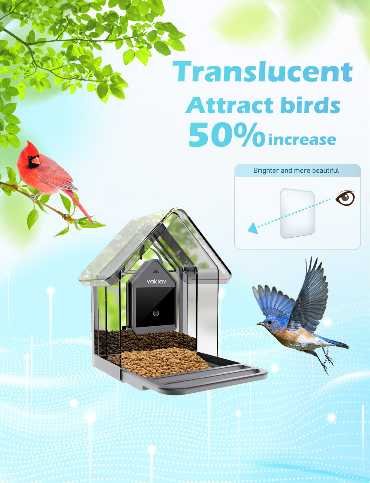 Vakiav Outdoor Wireless Smart Bird Feeder with Camera, 100M Cloud Storage, 5W Solar Panel, Real-time Wild Bird View, App Notifications, Auto Bird Video Capture, Stylish Design.