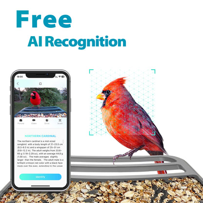 Vakiav Smart Bird Feeder with Camera Free Storage and Reply,Vakiav Free AI Identify,Smart Bird Feeder with Cam,Auto Capture Bird Video,Stylish Appearance,with Solar Panel(Only Support 2.4G WiFi)