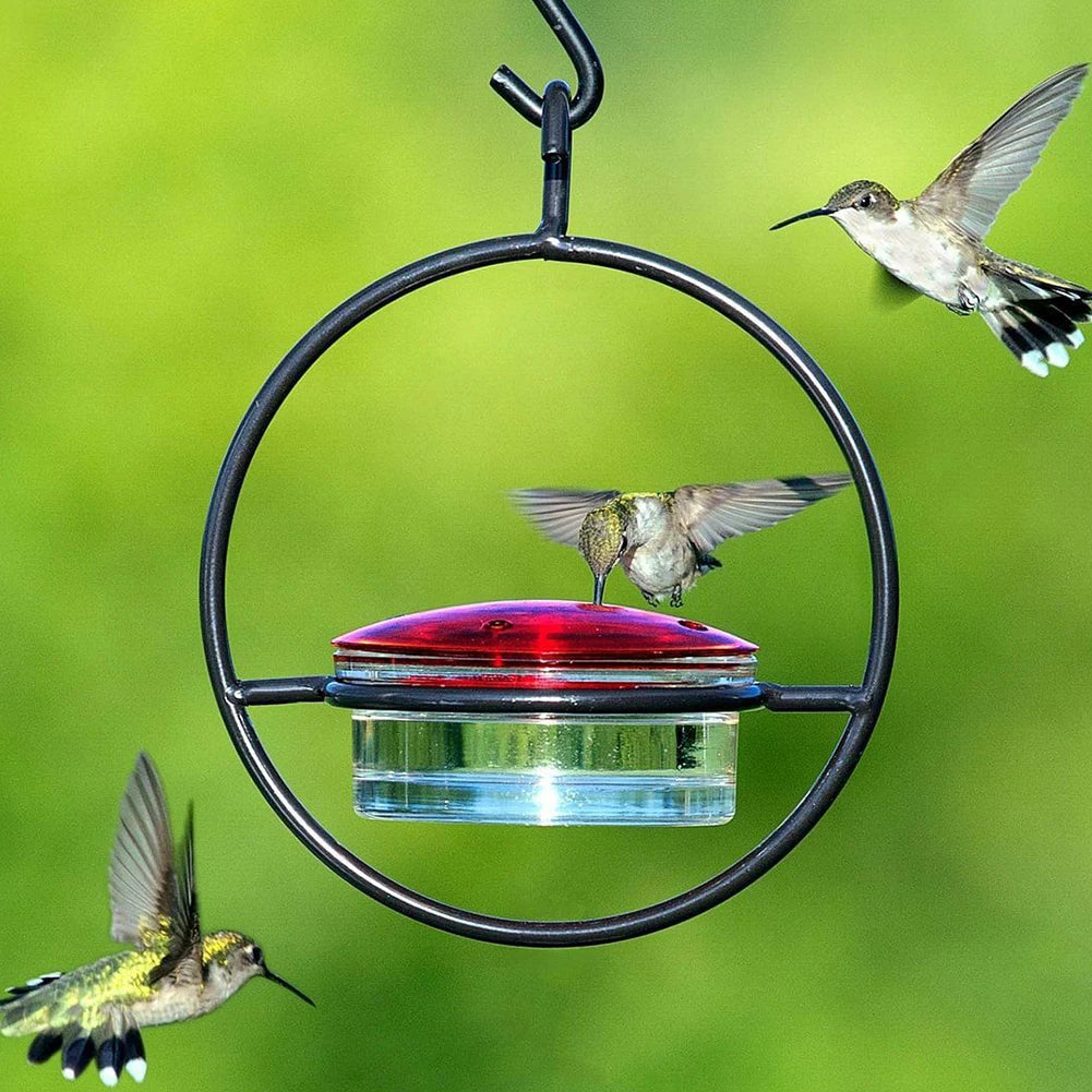 Hummingbird Feeder Tray with Red Plast BowlOutdoor Humming Bird Feeder Attract Birds for Outside Garden Backyard Patio Deck